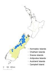 Veronica hookeri distribution map based on databased records at AK, CHR & WELT.
 Image: K.Boardman © Landcare Research 2022 CC-BY 4.0
